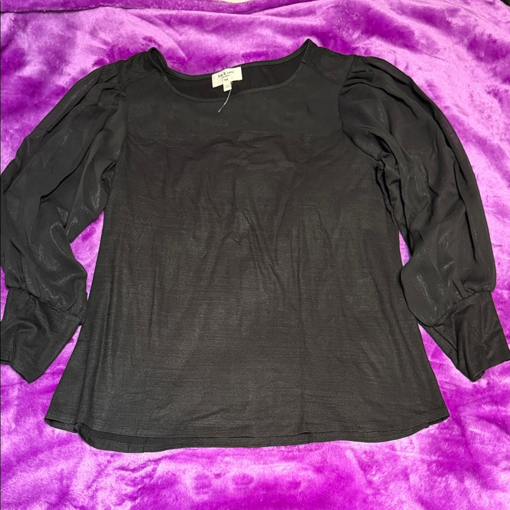 Kim & Cami Black Blouse with Sheer Sleeves